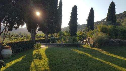 Bed & Breakfast Il Nido Del Falco
