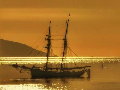 Neptunes Rest
