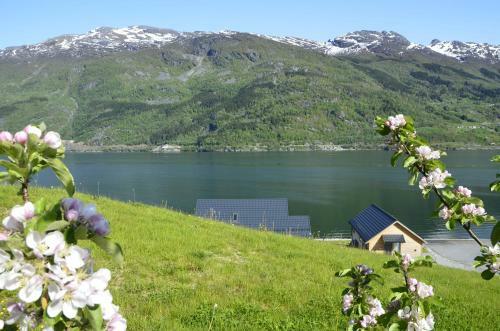 Aga Fjord Apartments Hardanger