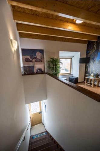 Apartamento Dos Peixes