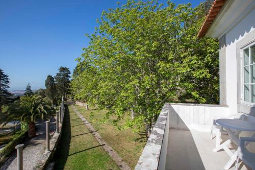 Quinta Da Paciencia