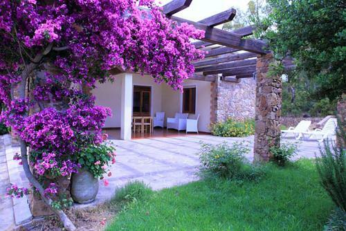 Agroturismo House Suestellas
