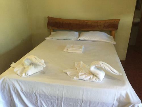 Santa Cruz Hostel