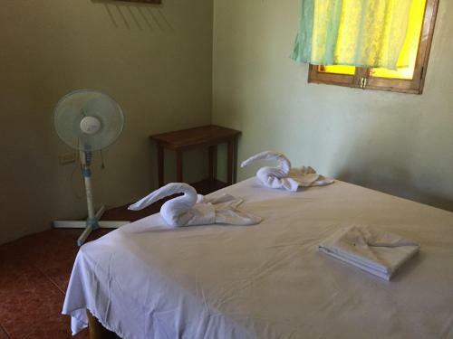Santa Cruz Hostel