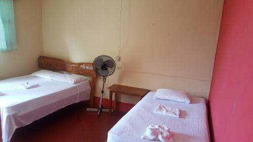 Santa Cruz Hostel