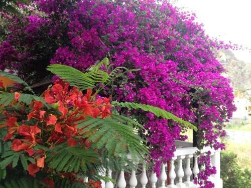 Bed & Breakfast Aldeia Jerome
