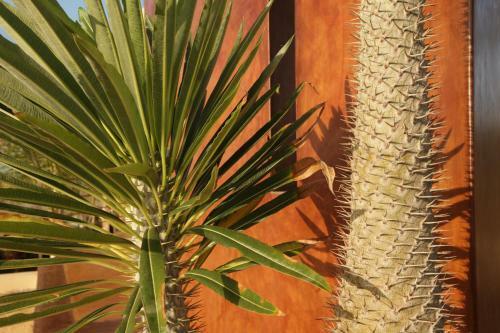 Casa Corazon Todos Santos