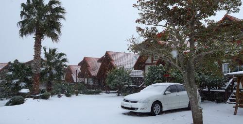 Pension Jeju Joyland