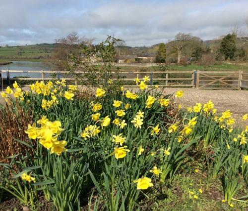 Bed & Breakfast Aberllynfi House