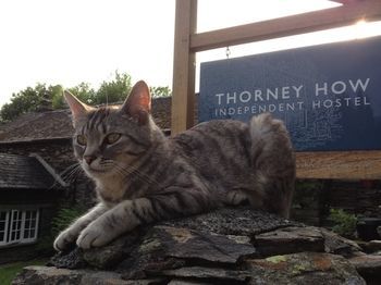 Albergue Thorney How