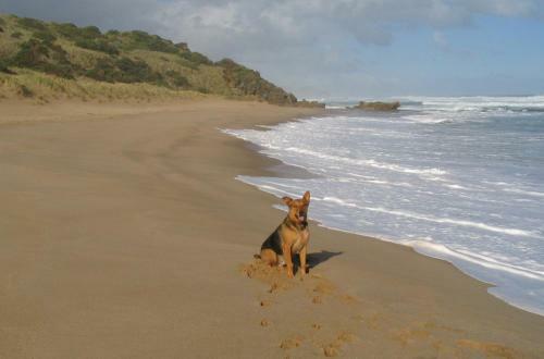 Muxy's Place