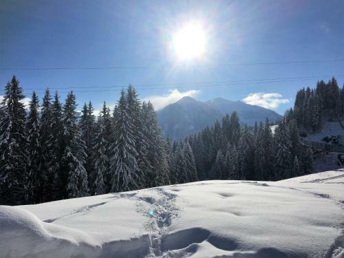Apartamento Am Zw�lferkogel Appartements