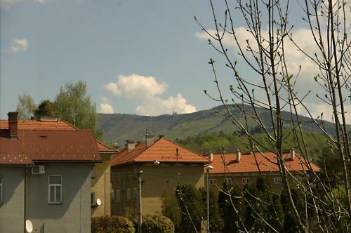 Apartments Centrum