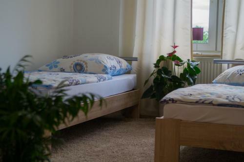 Apartamento Wohnung In Datteln