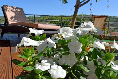 Agroturismo Casa Campanario