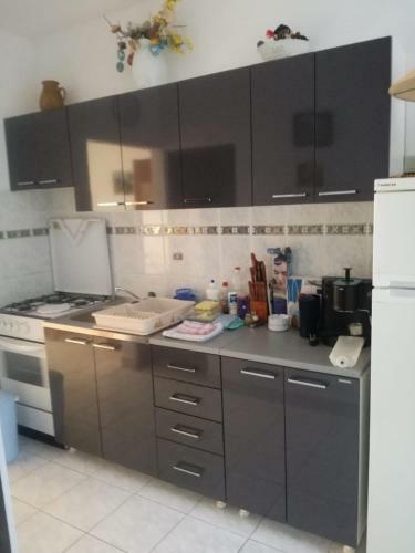 Apartment Trpimirova