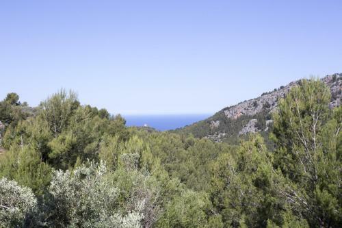 Villa Es Coco