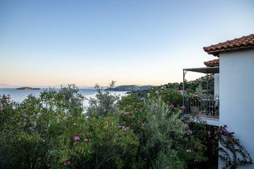 Hostal Villa Athena