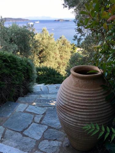 Hostal Villa Athena