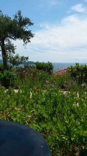 Hostal Villa Athena