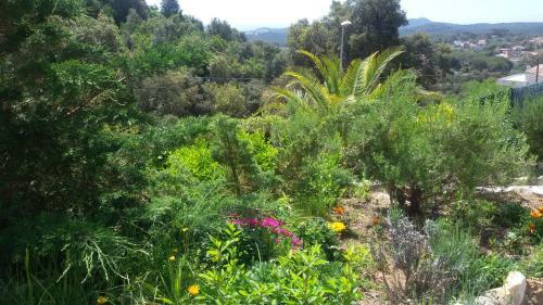 Holiday Home Cardona