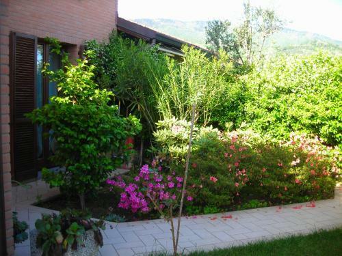 Bed & Breakfast La Folaga