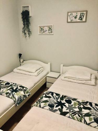 Spoko Hostel