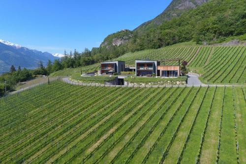 Chalet Eichenstein Im Weinberg