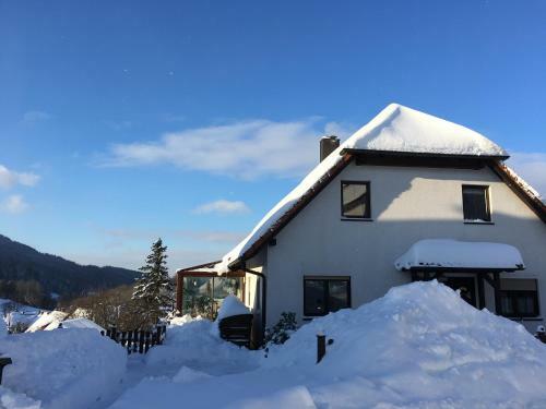 Apartamento Ferienwohnung Rennsteigblick
