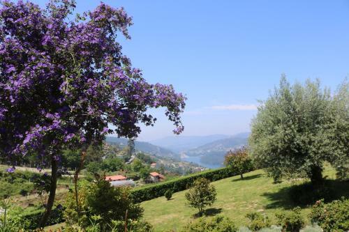 Hostal Quinta Do Bento