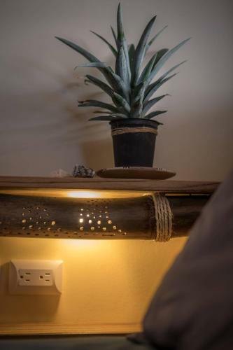 Barrbra B&B