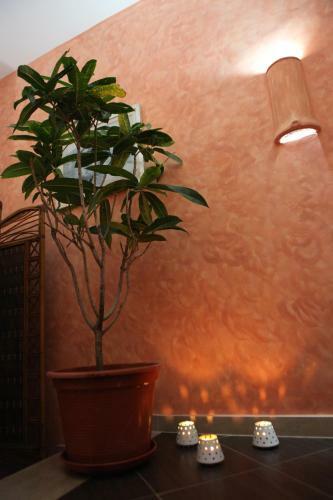 Bed & Breakfast Vivenda Viviani