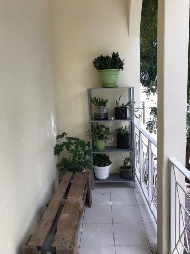 Praiadise Hostel