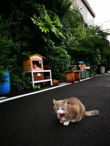 Air Osaka Hostel
