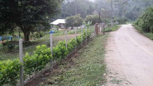 Bed & Breakfast Doo-dao-doi Farm & Stay
