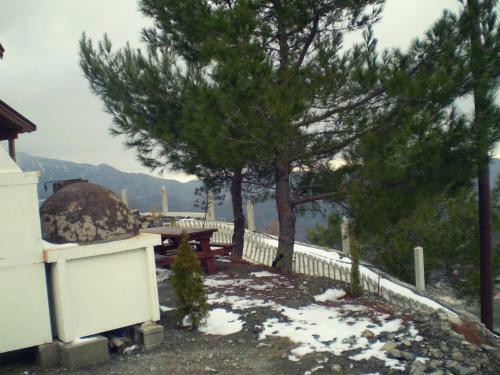 Agros Timber Log House