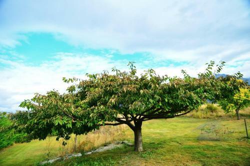 Agroturismo 1220 Gibbston Lodge