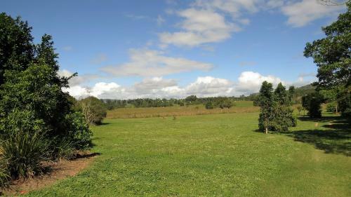 Gumtree On Gillies Bed And Breakfast
