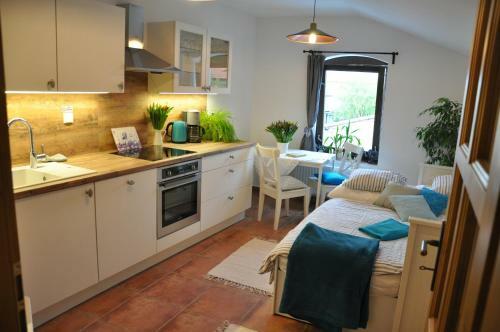 Apartm�ny U Vav?ince