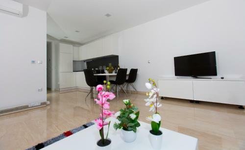 Luxury Aparthotel