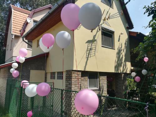 Tiszavir�g Vend�gh�z