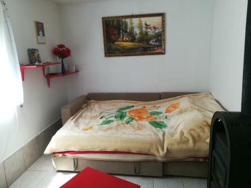 Tiszavir�g Vend�gh�z