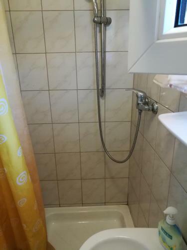 Tiszavir�g Vend�gh�z