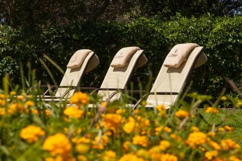 Villa Ampelaki - With Heated Pool