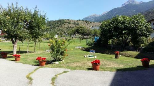 Apartamento Casa D'antan