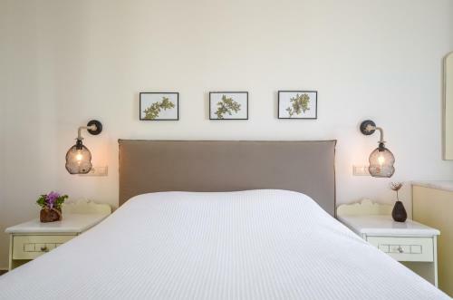 Aerides Villas