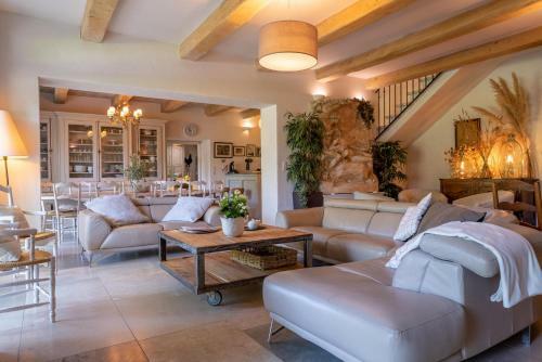 Mas Des Pampres