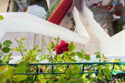 Alg�s Village Casa 4