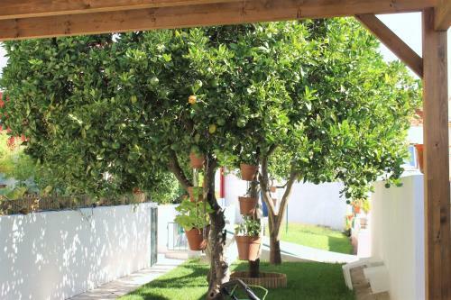 Alg�s Village Casa 4