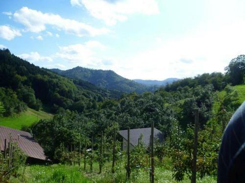 Apartamento Obsthof Vogthof